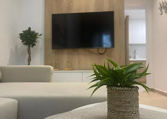 Sofia's House